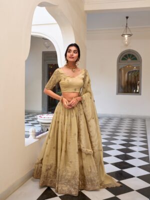 WMN 1435 Gold Crush Embroidery Lehenga Choli Online 2025