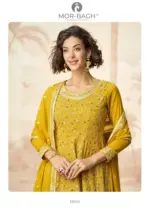 Aashirwad Apurva - 10244 - Image 2