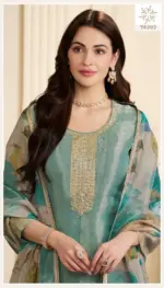 vinay Kanchi-76202 - Image 2