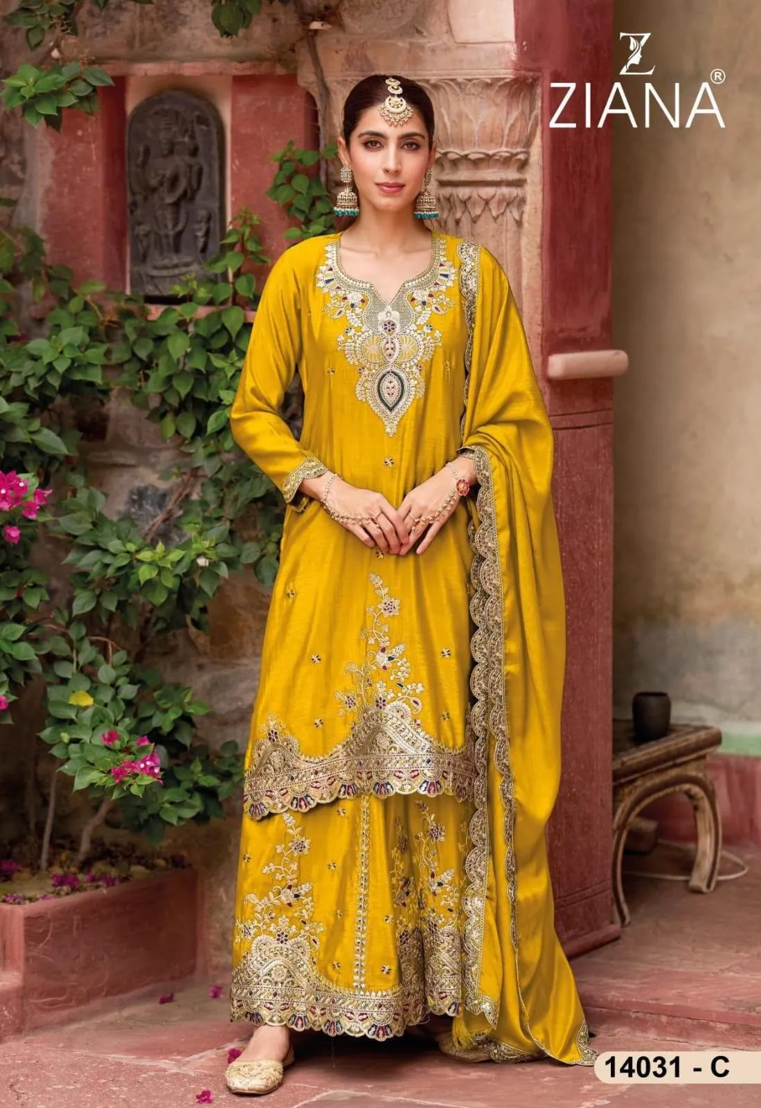 Ziana 14031 Colour -14031C Ziana 14031 Colour -14031C - Image 1