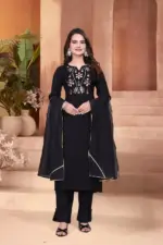 AEA 638 Mul Chanderi Mirror Work