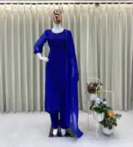 BV 354 Georgette Embroidery