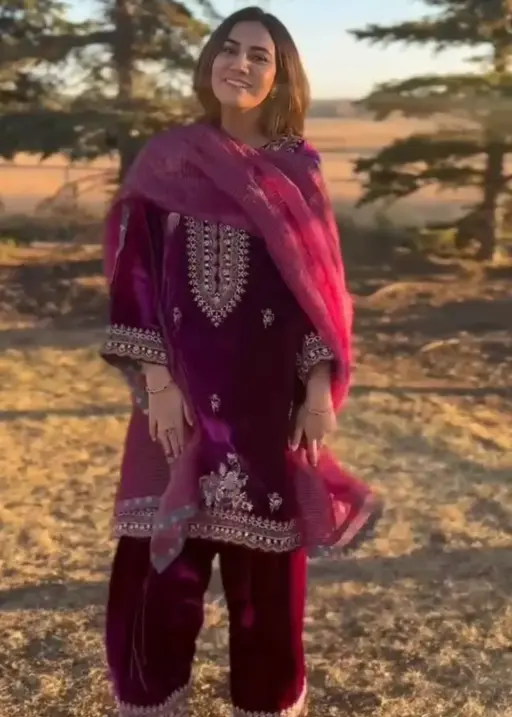 BV 421 Velvet Embroidery Winter