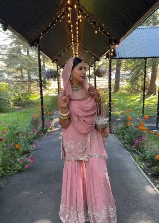 BV 430 Georgette Embroidery