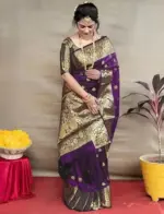 Sd Banarasi Silk Vol 2 Wedding Wear Fancy Saree Collection - Image 5