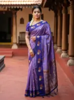 WMS Vol 131 Soft Silk Two Tone Bollywood - Image 4