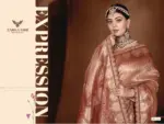 Zarkaashi Rajnandani Banarasi Tissue Embroidery Saree Collection - Image 8