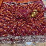 Ds 787 Pure Space Silk Handworked Party Wear Designer Saree Collection - Image 12