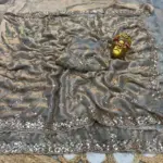 Ds 787 Pure Space Silk Handworked Party Wear Designer Saree Collection - Image 13