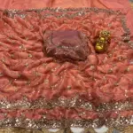 Ds 787 Pure Space Silk Handworked Party Wear Designer Saree Collection - Image 2