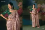 Kimora Iconic 3 Fancy with Sequence and Stone Work Saree Collection - Image 4