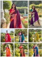 Vt 6082 T Soft Pethani Silk Zari Weaved Premium Saree Collection - Image 7