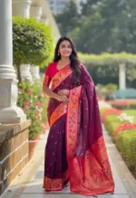 Vt 6082 T Soft Pethani Silk Zari Weaved Premium Saree Collection - Image 9