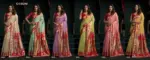 Gobuni Seerat Tissue Paithani with Lotus Zari Border Saree Collection - Image 4