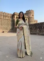 Kc 209 Soft Flowing Pure Dola Silk Saree Collection - Image 9