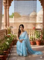 Kc 881 Pixel Crush with Cutdana Worked Party Wear Saree Collection - Image 2