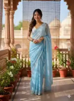 Kc 881 Pixel Crush with Cutdana Worked Party Wear Saree Collection - Image 7