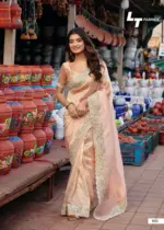 Lt Jimmy Vol 6 Cloud with Fancy Embroidery Work Saree Collection - Image 8