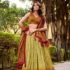 WMN 1253 Lehenga Choli