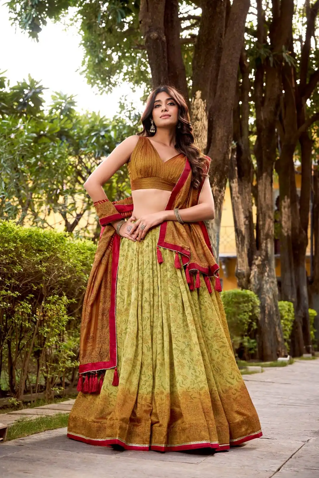 WMN 1253 Lehenga Choli