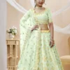 Zeel 504 Lehenga Choli