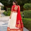 WMN 2022 Paithani Lehenga Choli