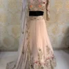 SBD 1820 Lehenga Choli