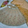 HCR 1109 Wedding Function Lehenga