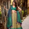 WMN 1253 Lehenga Choli