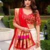 WMN 2022 Paithani Lehenga Choli