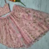 HCR 1111 Lehenga Choli Pink color