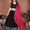 Kiara Hammer Lehenga Choli