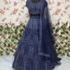 HCR 1113 Party Wear Lehenga For Women