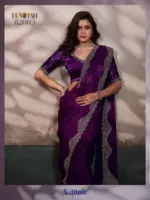 Sethnic Luminah Velvet Satin with Zarkan Border Party Wear Saree Collection - Image 14