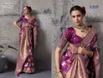 Sethnic Nakshi Banarasi Silk Sequence Work Saree Collection - Image 6