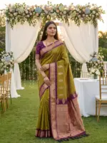 Nx Mango Soft Banarasi Zari Weaving Fancy Silk Saree Collection - Image 6