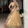 WMN 2032 Cream Organza Weaving Paithani Lehenga Choli
