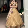 WMN 2032 Cream Organza Weaving Paithani Lehenga Choli
