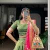 WMN 2032 Organza Zari Weaving Paithani Lehenga Choli Collection