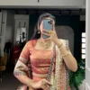 WMN 2032 Organza Paithani Lehenga Choli With Zari Weaving