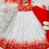 Alia 518 Organza Taby Silk Anarkali Readymade Dress