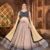 DKT 5107 Designer Cream Georgette Sequence Embroidery Lehenga Choli