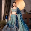 DKT 9234 Sky Blue Georgette Zari Embroidery Lehenga Choli