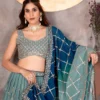 DKT 9234 Sky Blue Georgette Zari Embroidery Lehenga Choli