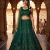 HCR 460 Green Bridal Lehenga Choli for Women Heavy Sequins Coding Work | Premium Net Wedding Wear Designer Lehenga