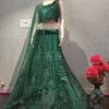 HCR 460 Green Bridal Lehenga Choli for Women Heavy Sequins Coding Work | Premium Net Wedding Wear Designer Lehenga