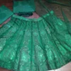 HCR 460 Green Bridal Lehenga Choli for Women Heavy Sequins Coding Work | Premium Net Wedding Wear Designer Lehenga