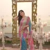 Soft Tabby Mirror Work Saree with Digital Print & Heavy Jalpari Blouse | Bollywood Style Designer WMS Saree
