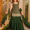 Women's Embroidery Work Sarara Western Wear