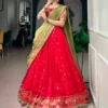 Women’s Jacquard Silk Paithani Zari Work Lehenga Choli